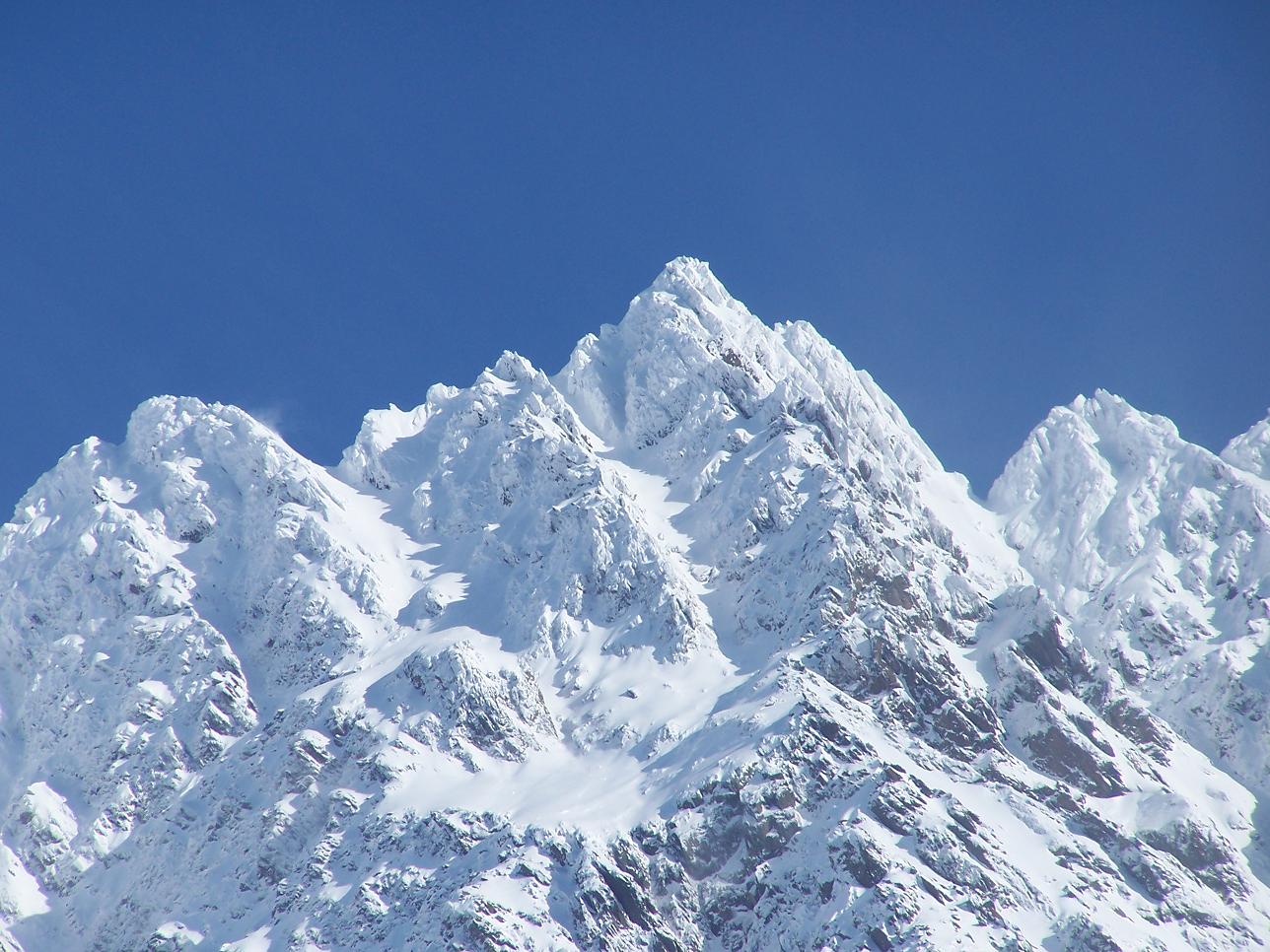 Camosci nella neve (secondo ed ultimo)